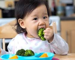 A pediatrician explaining the benefits of folic acid for kids