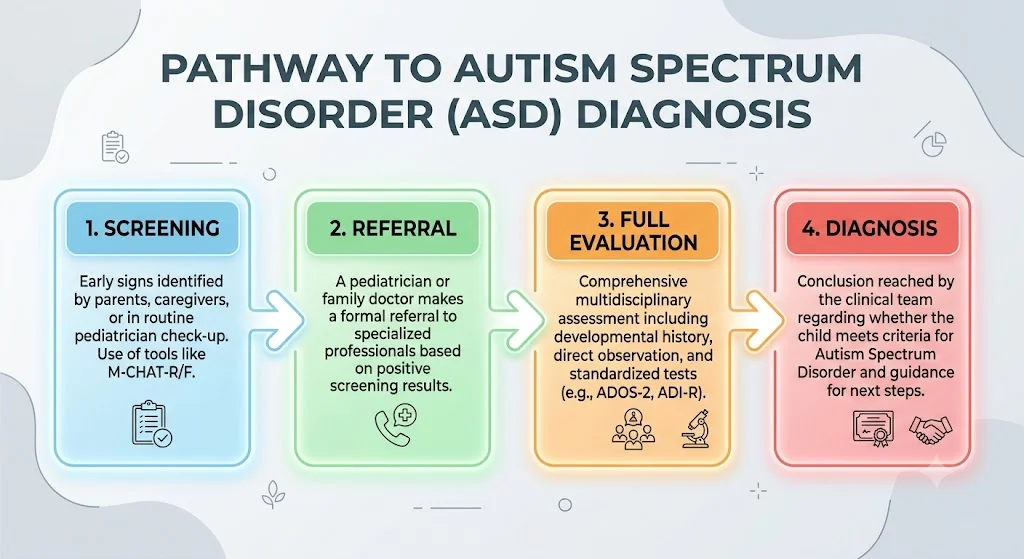 A horizontal, four-step flowchart graphic titled "Pathway to Autism Spectrum Disorder (ASD) Diagnosis". The steps are numbered 1 to 4 from left to right: 1. Screening (blue), 2. Referral (green), 3. Full Evaluation (orange), and 4. Diagnosis (red), each with descriptive text and clean line icons.