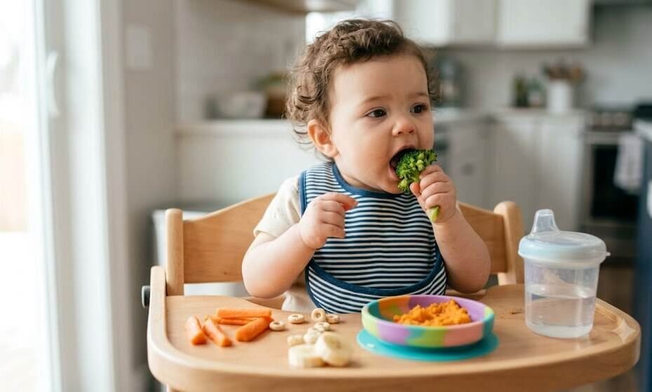 An 8-month-old baby wearing a blue bib and sitting in a high chair, self-feeding with solid food from a colorful plate.